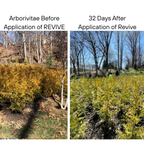 REVIVE - Micronized BioChar Suspension Soil Amendment