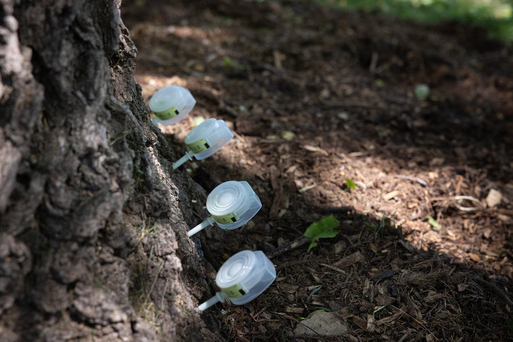 ArborFos - Injectable Phosphite Fungicide Capsules