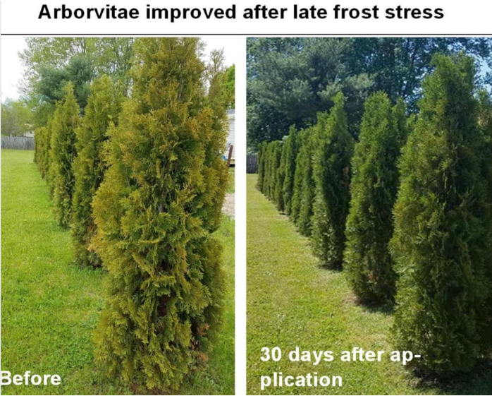 REVIVE - Micronized BioChar Suspension Soil Amendment