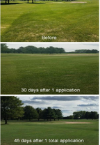 REVIVE - Micronized BioChar Suspension Soil Amendment