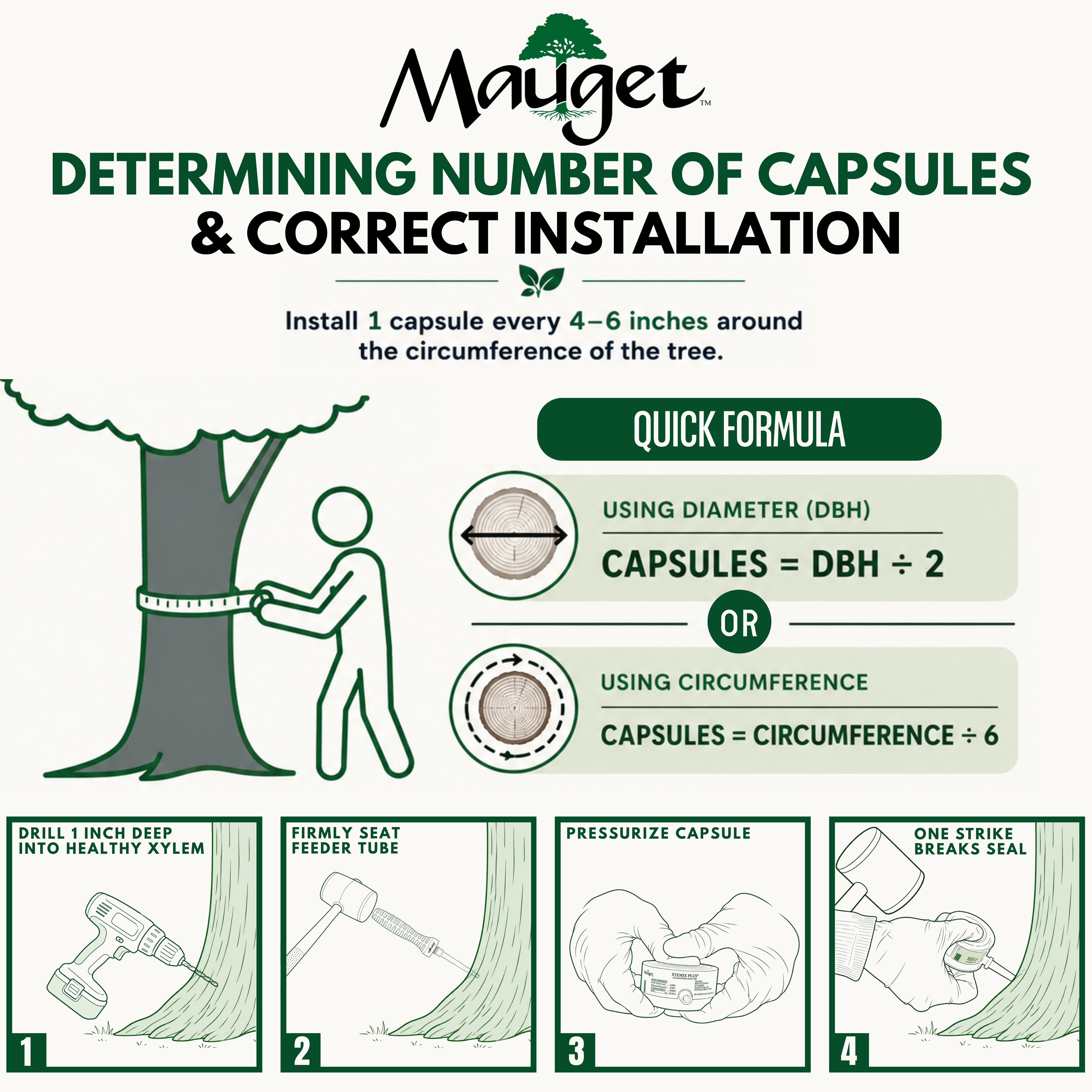 Fungisol - Injectable Broad Spectrum Fungicide Capsules
