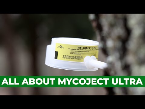 Mycoject OTC - Injectable Oxytetracycline Antibiotic Capsules