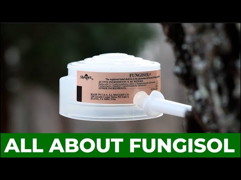 Fungisol - Injectable Broad Spectrum Fungicide Capsules