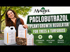 ArborPGR - Paclobutrazol Plant Growth Regulator for Trees & Turf